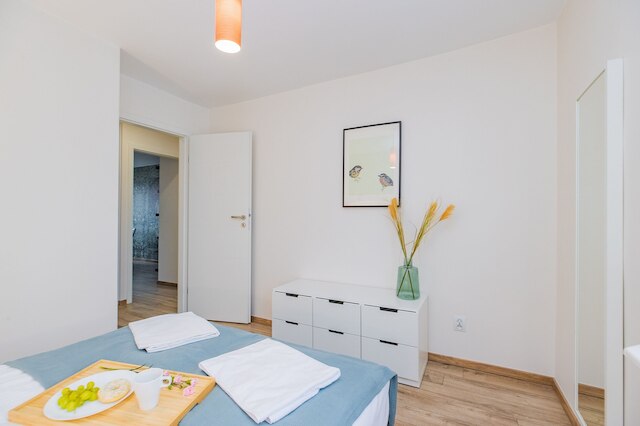 ショートステイポーランド ボニフラテルスカ B149