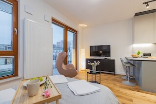 ショートステイポーランド・ズジエホフスキー B150