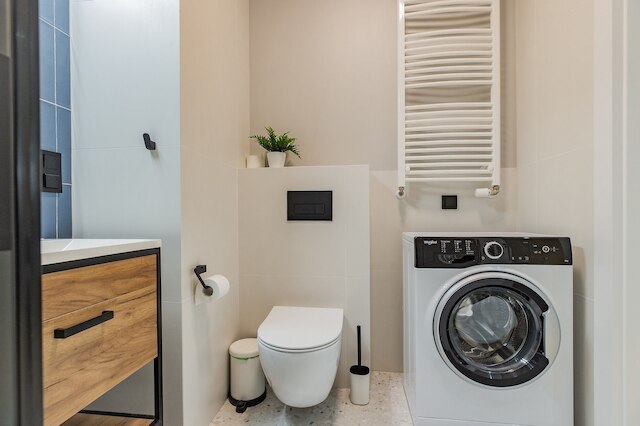 ショートステイポーランド・ズジエホフスキー B150