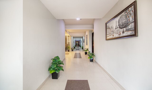 ツリーボー ロイヤル パレス, ニューデリー