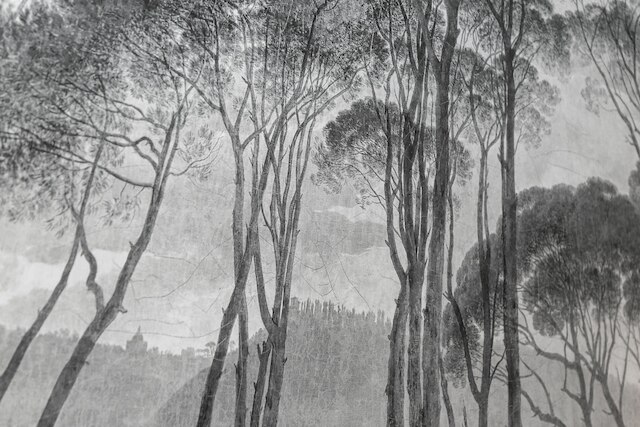 ホテル ラ・パウ