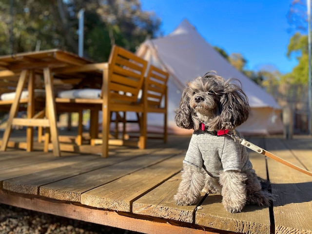 クスクスグランピング真鶴