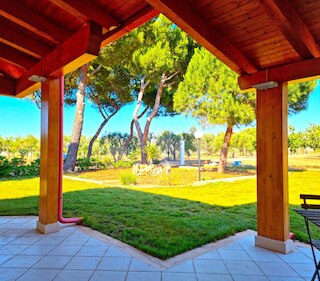 ヴィラ・ローラ、完成した現代的な家具、都市のグリーンオアシス