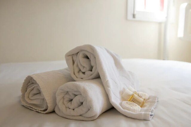 クレリゴススタジオアパート