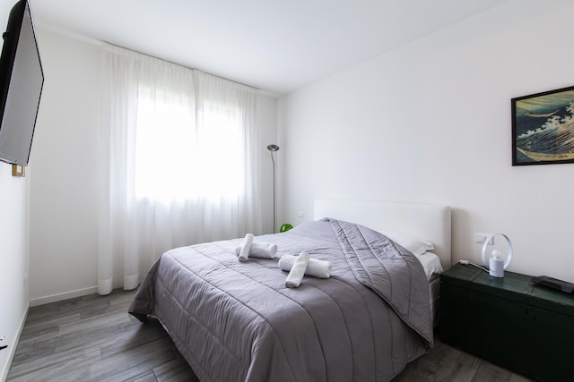 サン・ラザロ・ディ・サヴェナのベルテッリ4