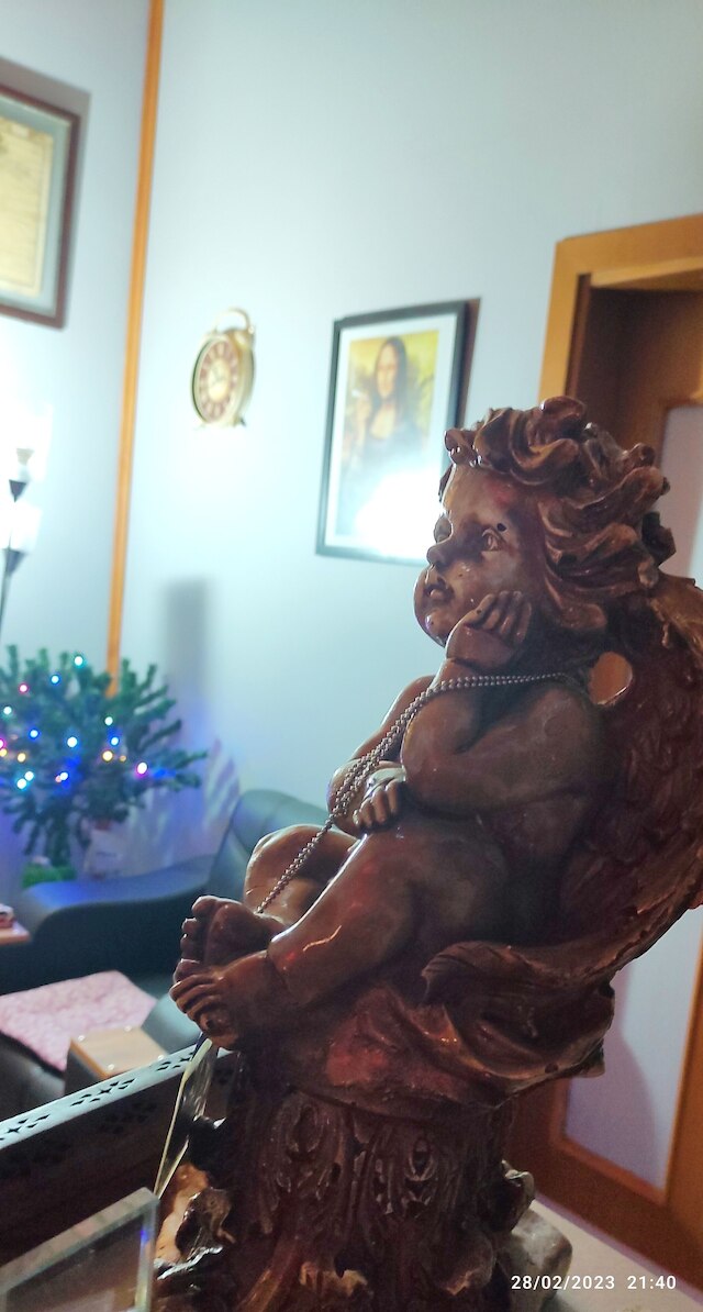 スウィート・ホーム・カドゥコイ