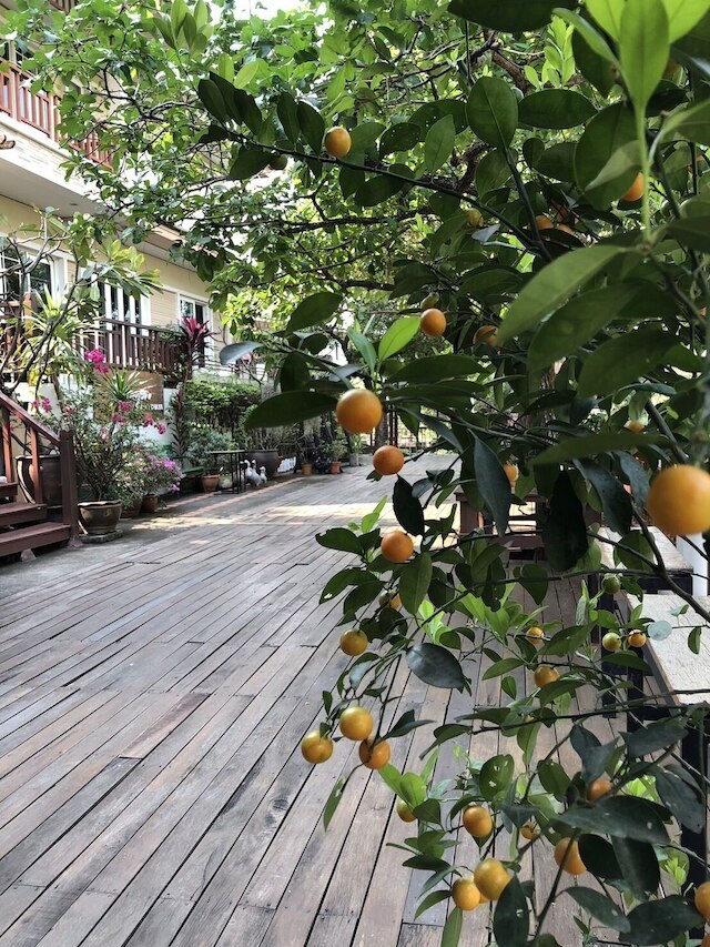 ロミエン・カフェ・ホームステイ