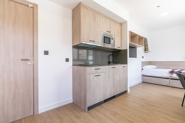 マイキャンパスシネシオデルガド