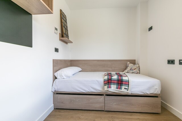 マイキャンパスシネシオデルガド