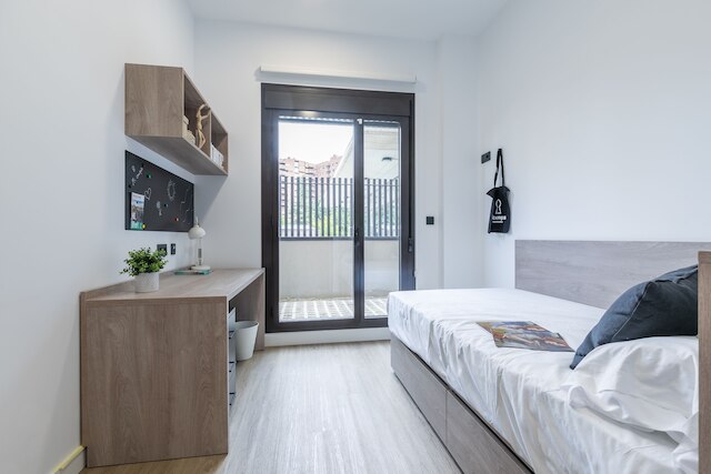 マイキャンパスシネシオデルガド