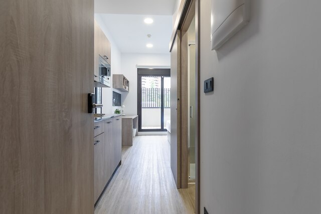 マイキャンパスシネシオデルガド