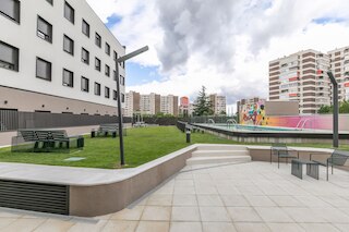 マイキャンパスシネシオデルガド