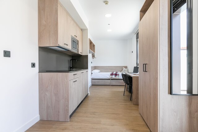 マイキャンパスシネシオデルガド