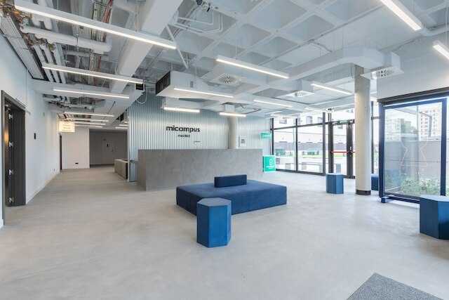 マイキャンパスシネシオデルガド