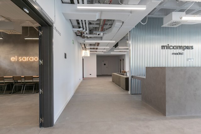 マイキャンパスシネシオデルガド