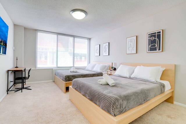 エクスクルーシブコンドウィズジムインクリスタルシティ