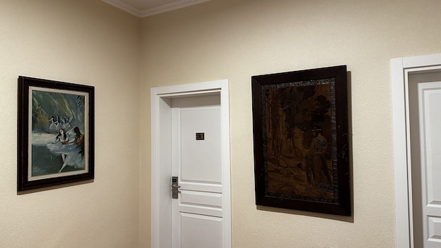 リアスーツベシクタシュ