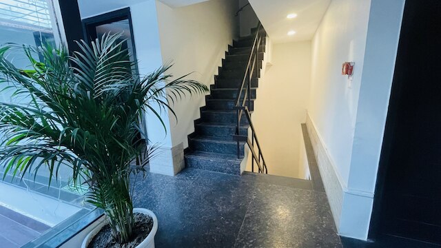 ソルトステイズ セレクト - マルチャ & チャンキャプリー