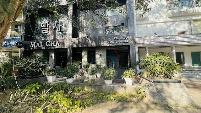 ソルトステイズ セレクト - マルチャ & チャンキャプリー