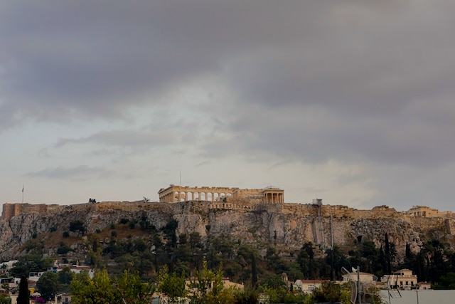 エリートエルモウスイーツ