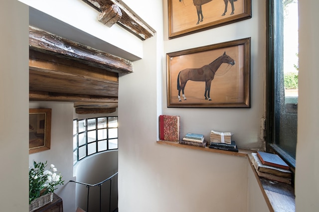 ローマの歴史的中心部にある歴史的な宮殿の庭付きペントハウス