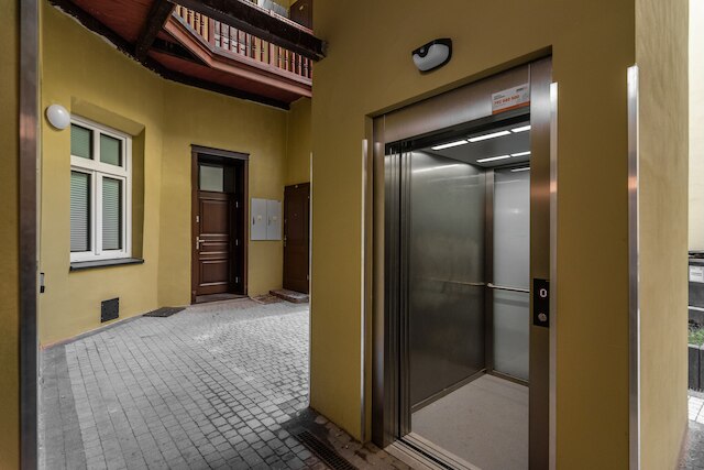 フェリチャネック15