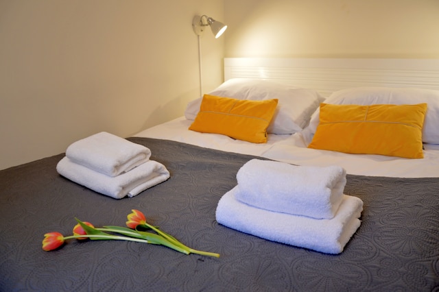 セントラル クラコフ アパートメンツ