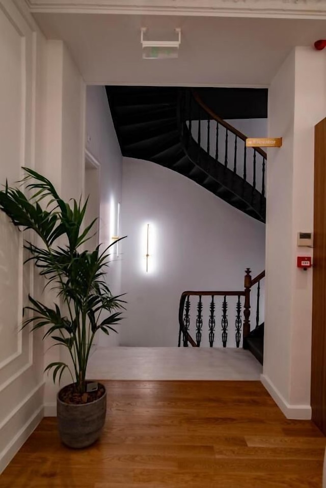 アテネアイコンコレクション