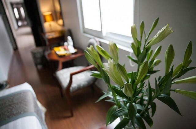 スカイラークブティックホテル