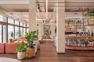 ザ・ユージュアルロッテルダム