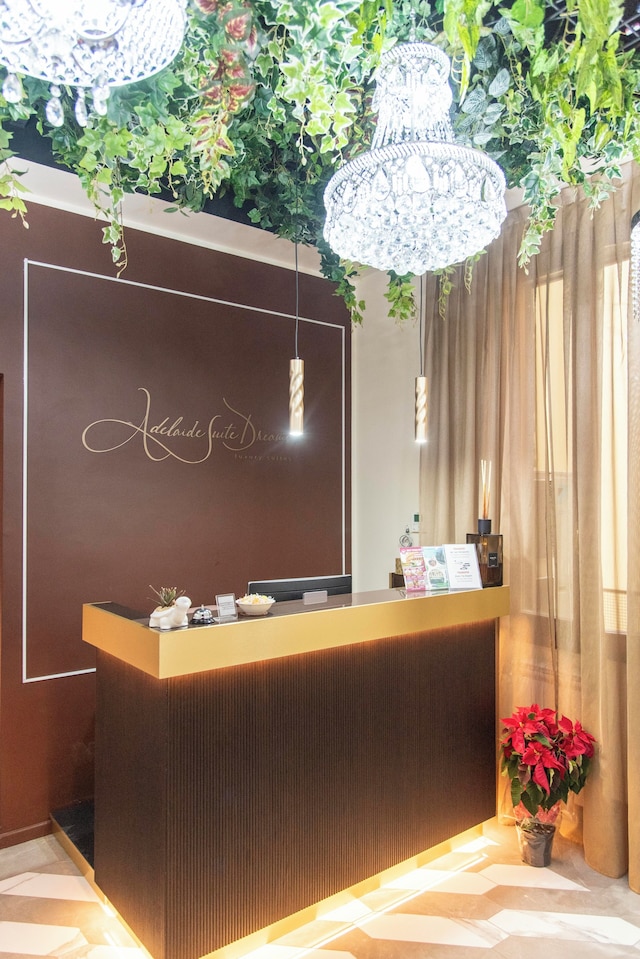 アデレード・スイート・ドリームス