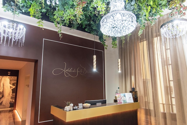 アデレード・スイート・ドリームス