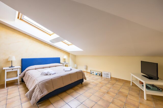 セントラルステーションのピカスターライト