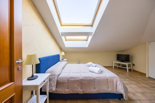 セントラルステーションのピカスターライト