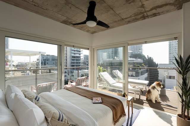 Mr.ロスチャイルドby TLV2GO