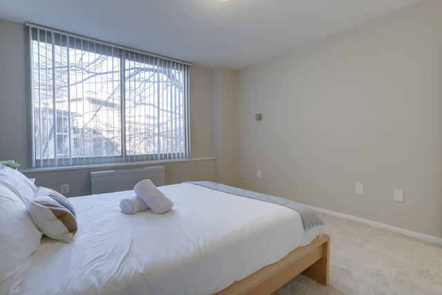 ラグジュアリー&コンフォータブル コンドミニアムクリスタルシティ