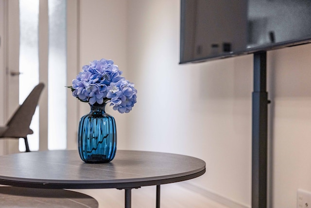 Camellia Tengachayakita