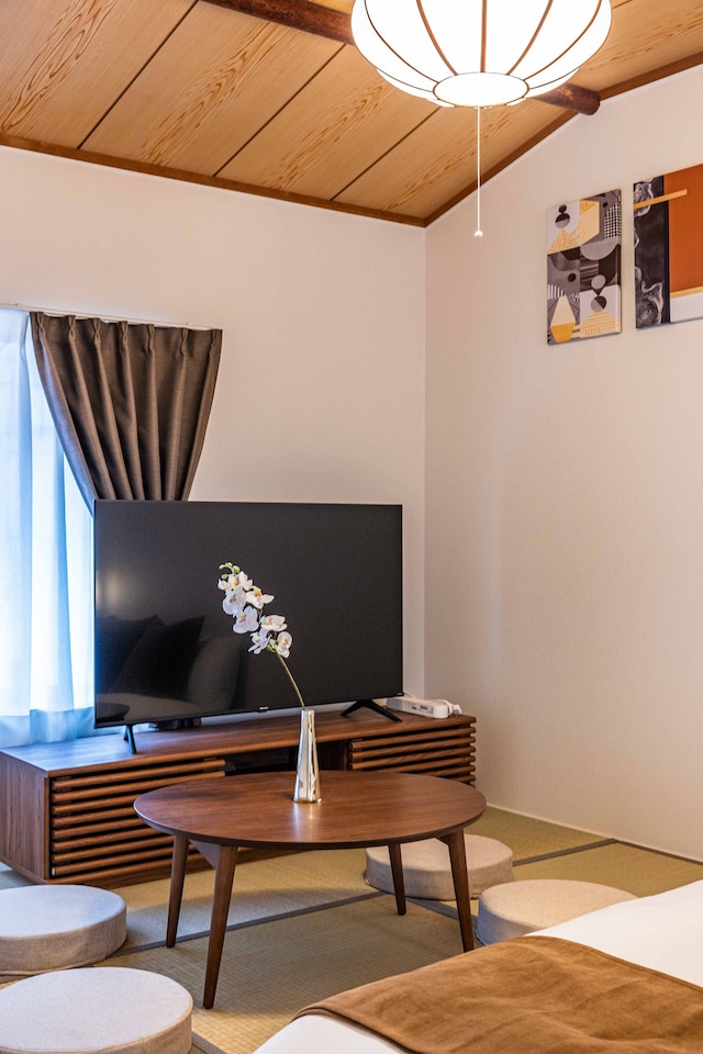 Camellia Tengachayakita