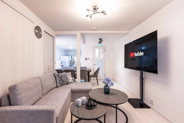 Camellia Tengachayakita