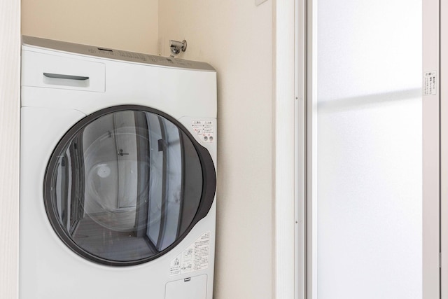 Camellia Tengachayakita