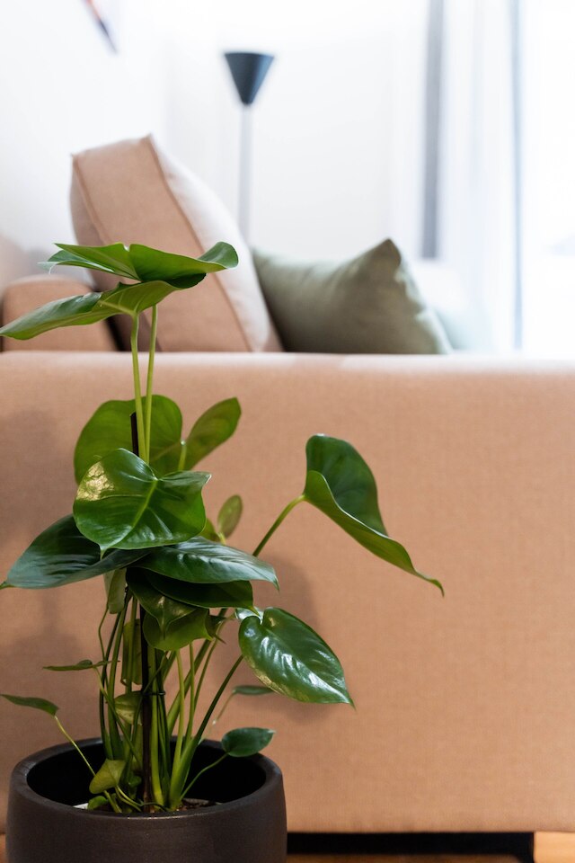 ロヴェルトゥ・ガリ 3-5 アテネ・コンセプト・レジデンス