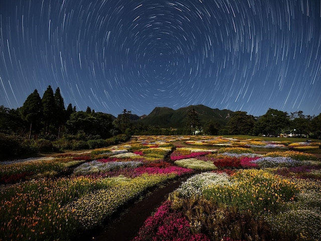 くじゅう花公園キャンピングリゾート花と星