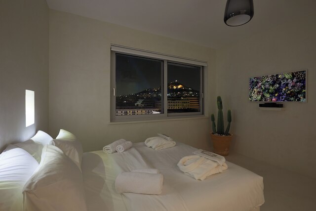 アテネ ペントハウス アパートホテル