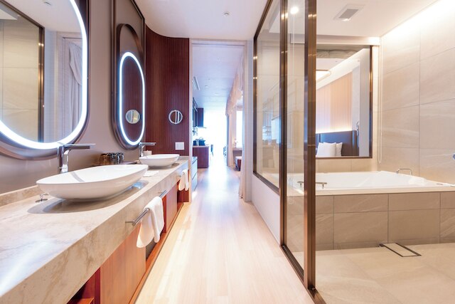 ホテルスプリングス幕張 Premier