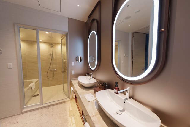 ホテルスプリングス幕張 Premier