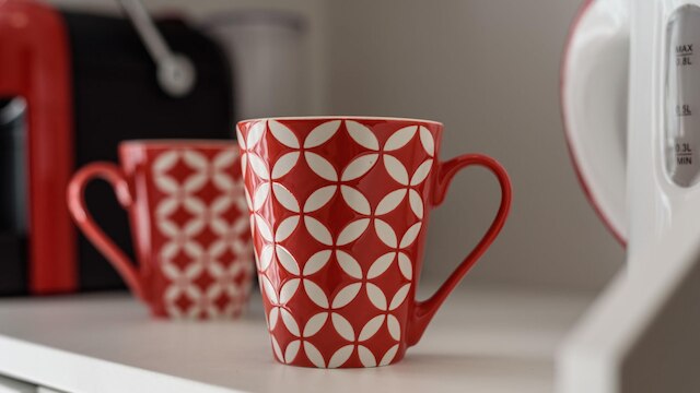 ヴィコ・セディル・カプアーノ21