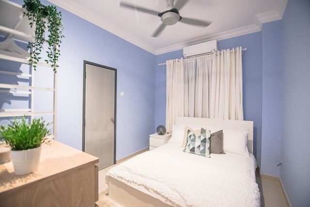 デュヨンドリーム