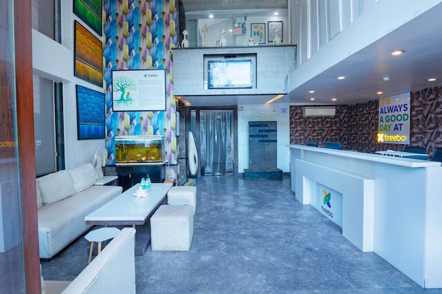 ツリーボー ツイン ツリー