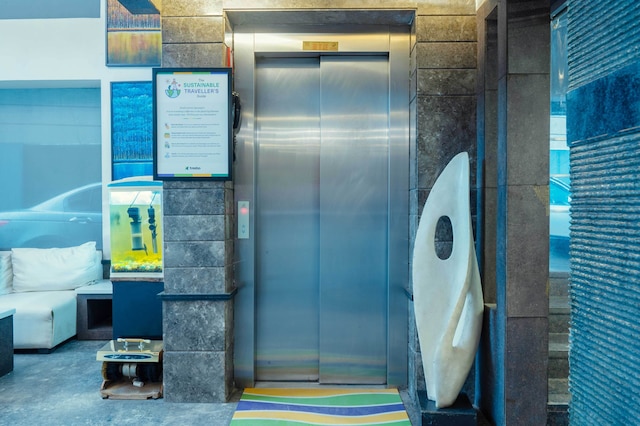 ツリーボー ツイン ツリー