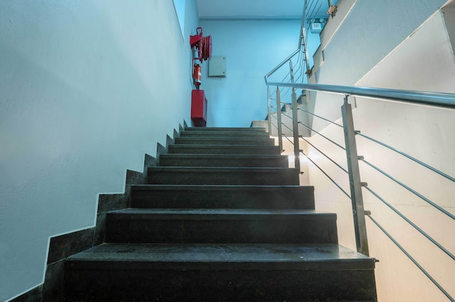 ツリーボー ツイン ツリー